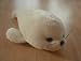 41JH9TcJj1L. SL75  Sea World 19 Shamu Killer Whale Plush