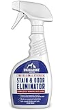 Professional Strength Stain & Odor Eliminator - Enzyme-Powered Pet Odor & Stain Remover for Dogs and Cat Urine - Spot Carpet Cleaner - Small Animal Odor Remover (32 oz)