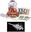 Sea Monkeys on Mars Kit