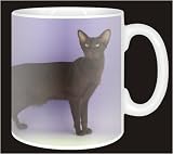 Review Advanta  / HAVANA KITTEN/CAT Coffee Mug