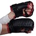 Search : Boxing Gloves Set for Wii