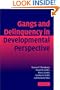 Gangs and Delinquency in Developmental Perspective (Cambridge Studies in Criminology)