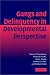 Gangs and Delinquency in Developmental Perspective (Cambridge Studies in Criminology)