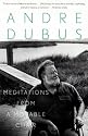 Meditations from a Movable Chair