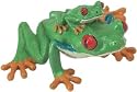 Red-Eyed Tree Frog with Baby