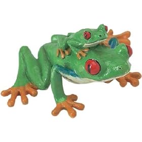 Red-Eyed Tree Frog with Baby