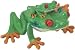 Red-Eyed Tree Frog with Baby