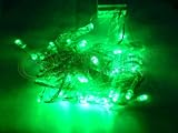LED String Lights - Green Color (10 Meters) for Christmas, Weeding and Holiday LEDs