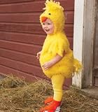 baby chick costume