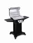 Ducane  Model 16002101, 864-Square-Inch 2-Burner Propane Gas Grill, Black Base