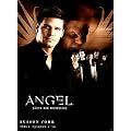 Angel - J�ger der Finsternis: Season 4.1 Collection [3 DVDs]