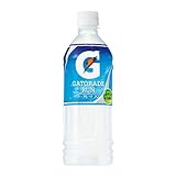 サントリー ゲータレード ラン【手売り用】 500mlPET×24本入