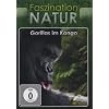Faszination Natur - Gorillas im Kongo