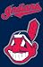 MLB Cleveland Indians Applique Banner Flag