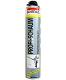 Produkt-Bild: 750ml mm, 1 Komponenten Pistolenschaum ,VE=12