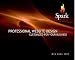 Mediasation Spark Websites Idea Book 2009