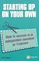 Starting up on your own: How to succeed as an independent consultant or freelance