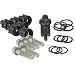 Briggs & Stratton 193806GS Pressure Washer Pump Valve Check Kit