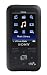 Sony NWZS616FBLK 4GB Walkman Video MP3 Player (Black)