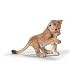 Schleich Lion cub, Playing