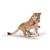 Schleich Lion cub, Playing
