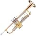 41JIxHUg7NL. SL75  Cecilio 4Series TT 480 B Flat Trumpet with Monel Pistons