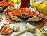 Dungeness Crab - Dungeness Crab 1.5 to 2 lb