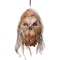 Hanging Zombie Head with Hair
