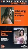 Review 4 Front Video  / Russ Meyer Double Thrill, A - Cherry, Harry And Raquel / Common Law Cabin [1967]