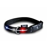 Pet Supplies : Lighted Red, White and Blue LED Dog Collar - Medium