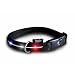 Pet Supplies : Lighted Red, White and Blue LED Dog Collar - Medium