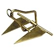 Chene Anchor