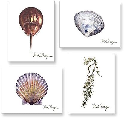 Beachcomber Boxed Notecard Assortment
