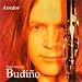 Xose manuel budino, Arredor