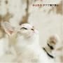 �^�}�Œe�����(��������)(DVD�t)