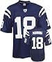 Peyton Manning Blue Indianapolis Colts Youth NFL Replica Jersey Peyton Manning Blue Indianapolis Colts Youth NFL Replica Jersey
