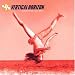 Everything You Want von Vertical Horizon - alle Infos