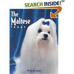 The Maltese Today (Book of the Breed S)