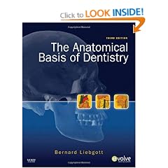 The Anatomical Basis of Dentistry, 3e