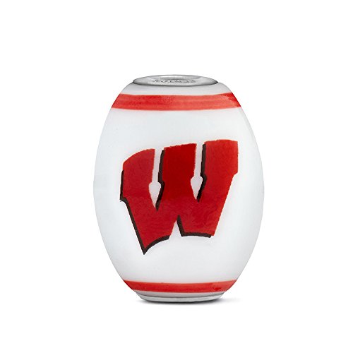 Wisconsin Badgers Large Glass Bead Fits Most European Style Charm Bracelets