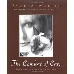 Comfort of Cats