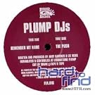 Push/You Will Remember My Name [Vinyl Single]