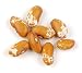 Jacob's Cattle Gold Bean Seeds - 50 Seeds - Heirloom
