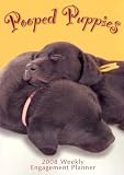 Pooped Puppies 2008 Calendar