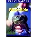 Blind Side: A Connor Westphal Mystery