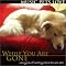 know how music can affect your dog, cat, or rabbit