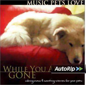 While You Are Gone: Music Pets Love