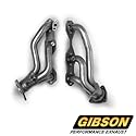 Gibson GP219 Chrome Performance Header