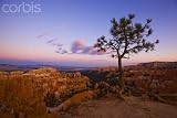 Wallmonkeys Peel and Stick Wall Decals - Moonrise over Bryce Canyon National Park - Removable Graphic