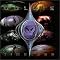 Jungl-List Jungl-List